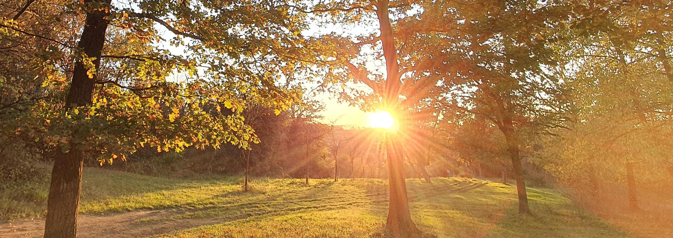 Pfarreiengemeinschaft Sinzig