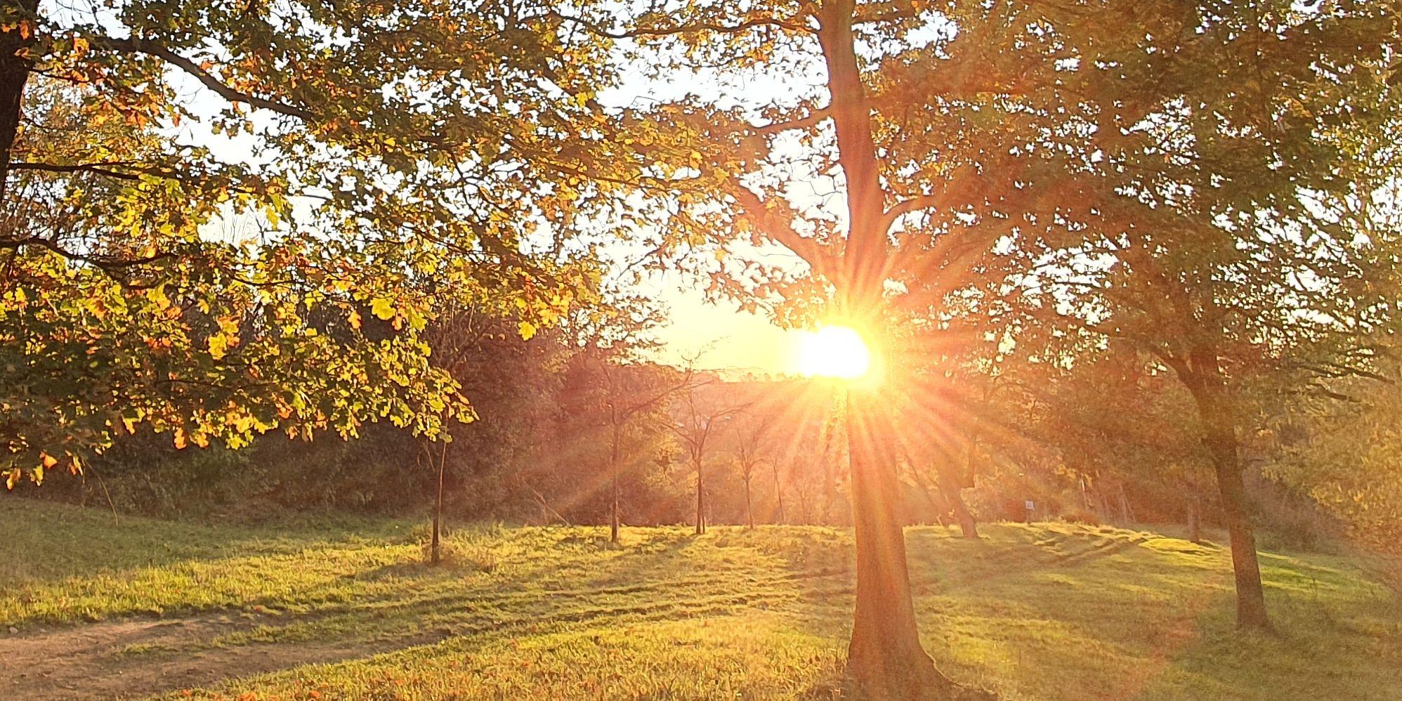Pfarreiengemeinschaft Sinzig