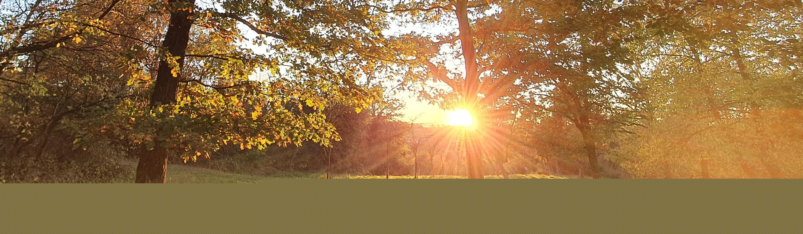 Pfarreiengemeinschaft Sinzig